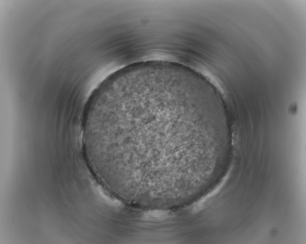 X0000093771117200710231307