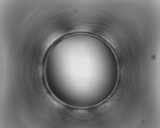 X0000093771119200710231307