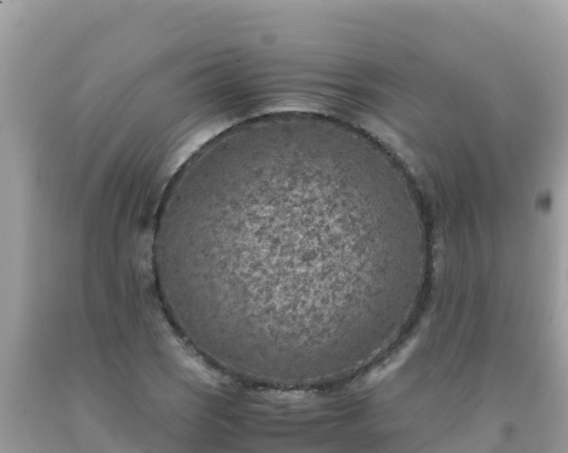 X0000093771121200710231307