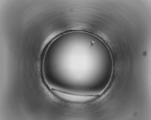 X0000093771122200710231307