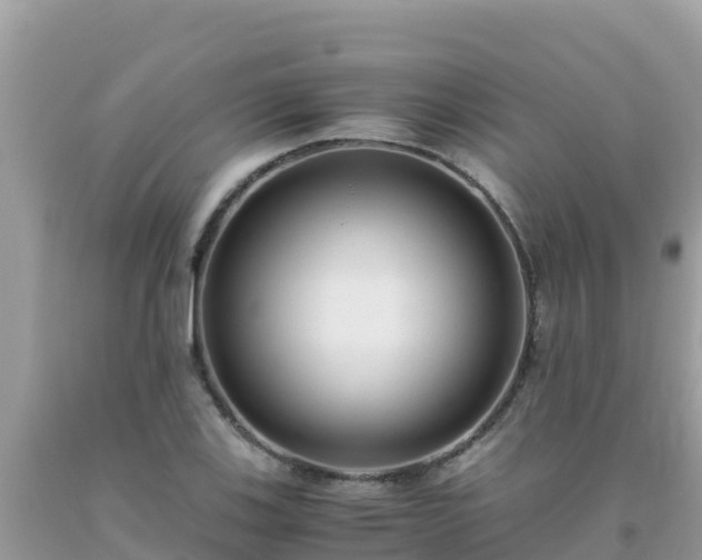 X0000093771123200710231307