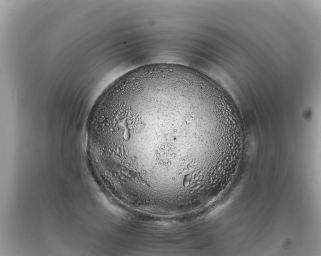 X0000093771125200710231307