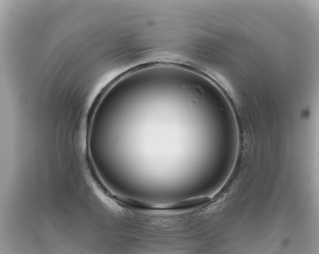 X0000093771128200710231307