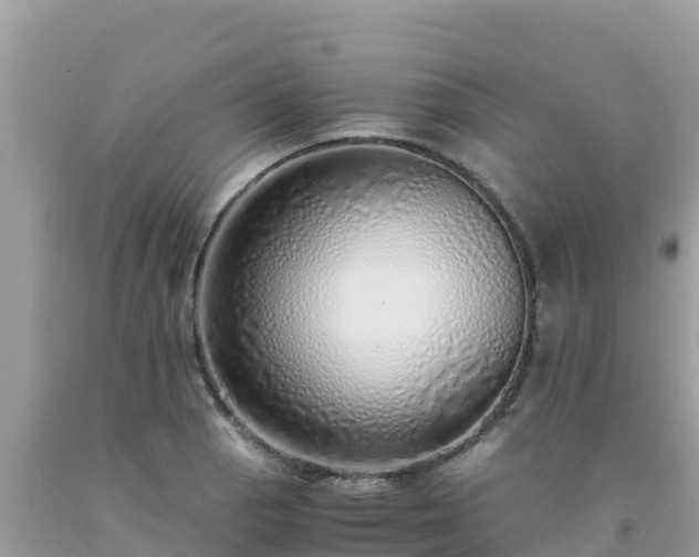 X0000093771129200710231307