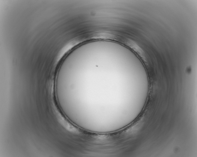 X0000093771130200710231307