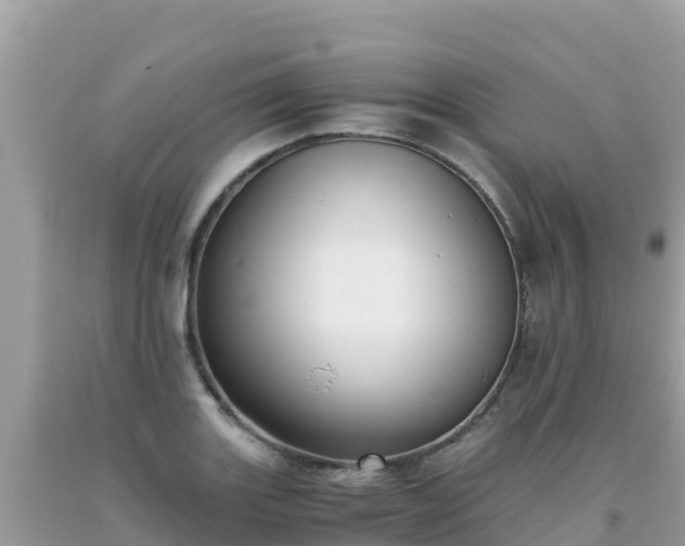 X0000093771131200710231307