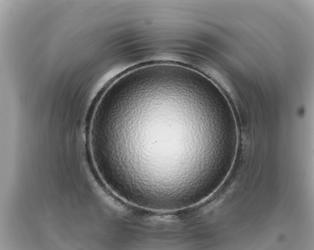 X0000093771133200710231307