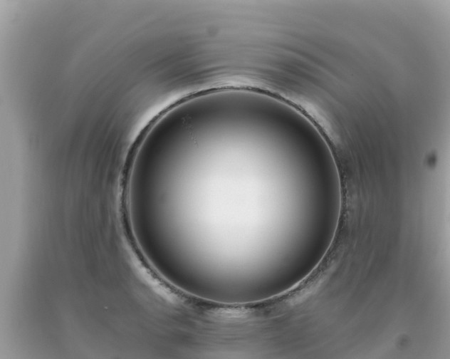 X0000093771134200710231307