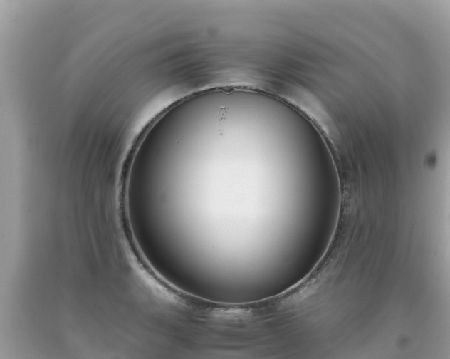 X0000093771135200710231307