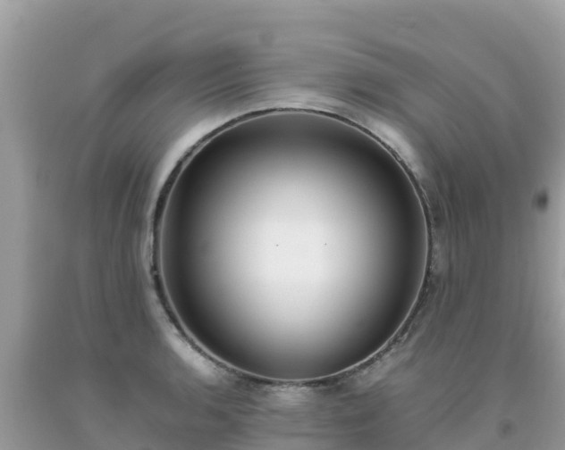 X0000093771136200710231307