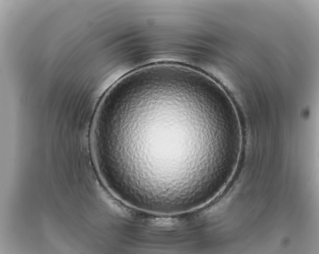 X0000093771137200710231307