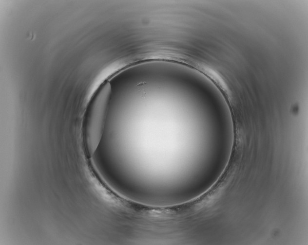 X0000093771138200710231307