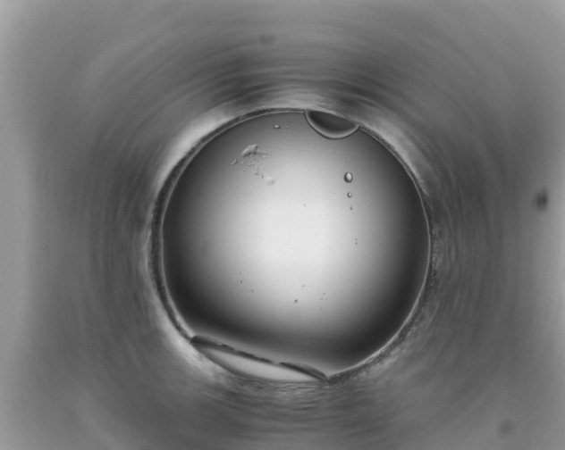 X0000093771139200710231307