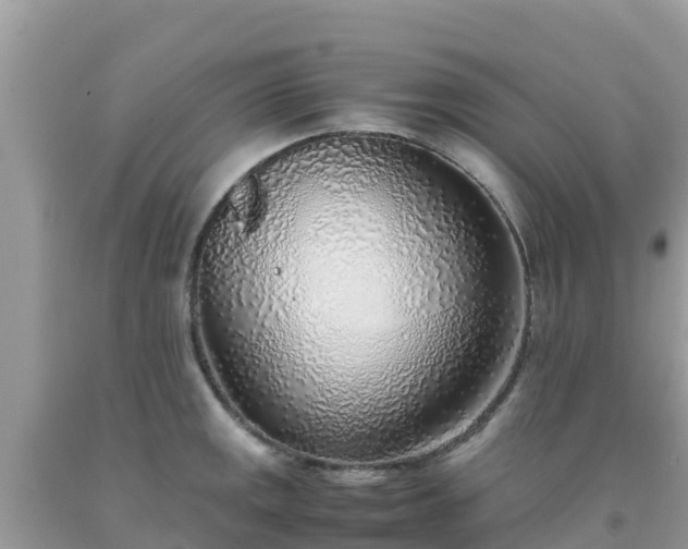 X0000093771141200710231307