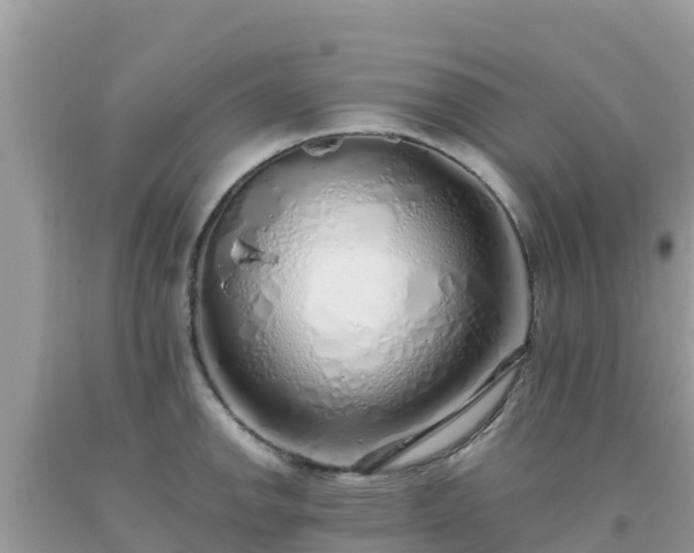 X0000093771142200710231307