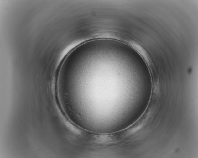 X0000093771149200710231307