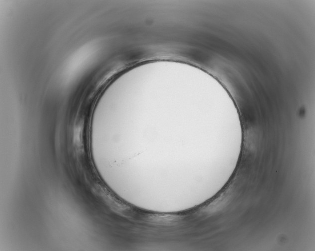 X0000093771150200710231307