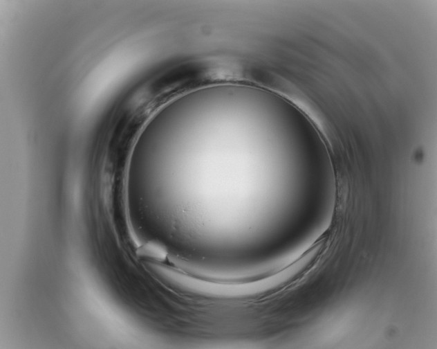 X0000093771151200710231307