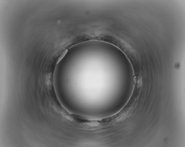 X0000093771156200710231307