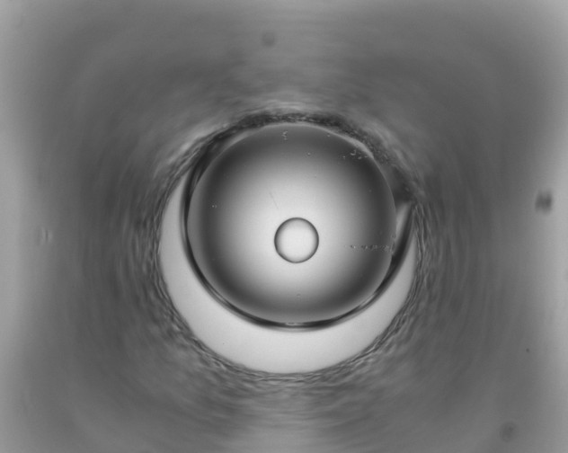 X0000093771157200710231307