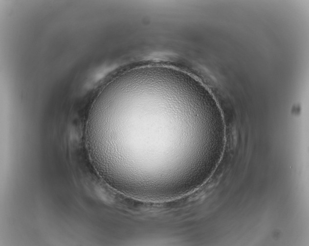 X0000093771158200710231307