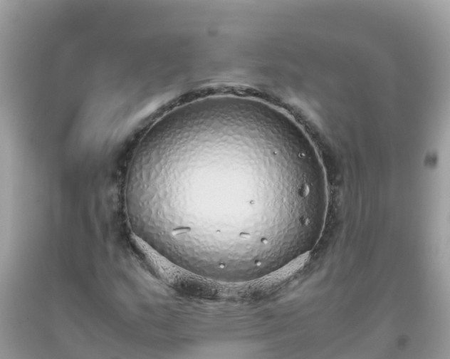 X0000093771159200710231307