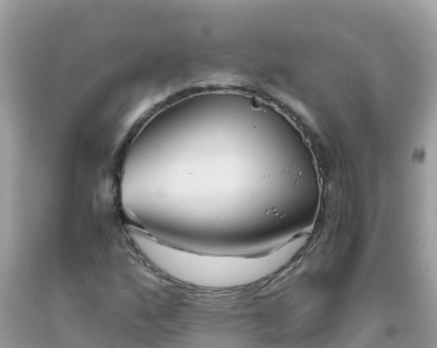 X0000093771160200710231307