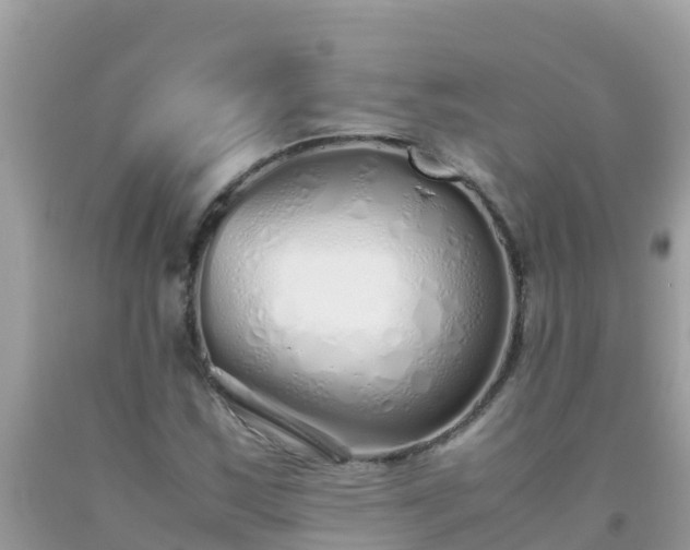 X0000093771163200710231306