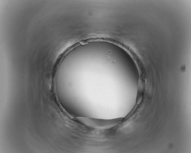 X0000093771165200710231306