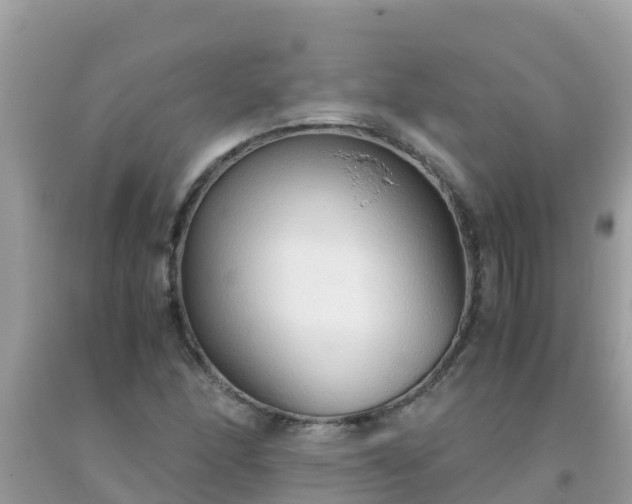 X0000093771166200710231306