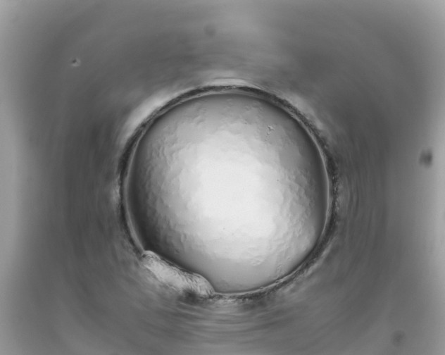 X0000093771167200710231306