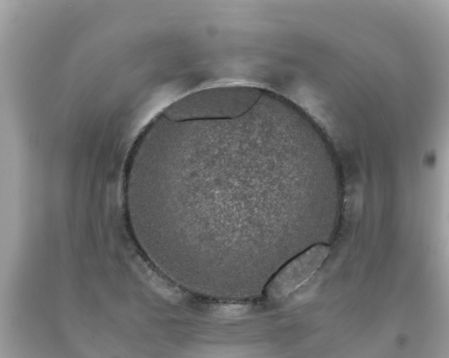 X0000093771173200710231306