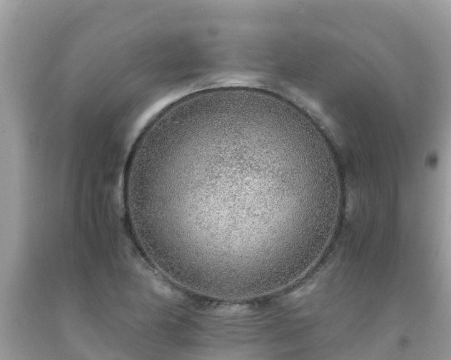 X0000093771174200710231306