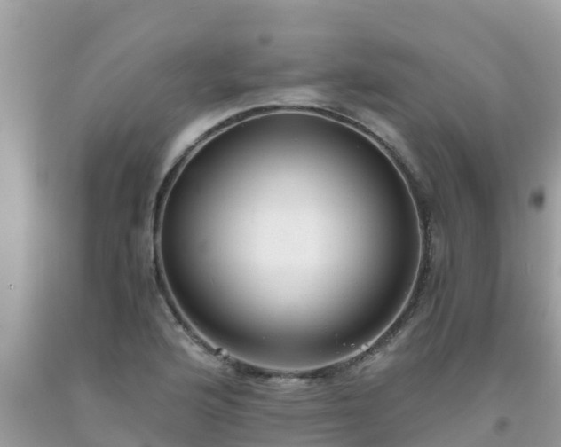 X0000093771176200710231306