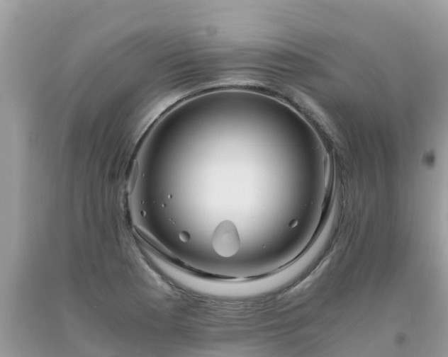 X0000093771177200710231306