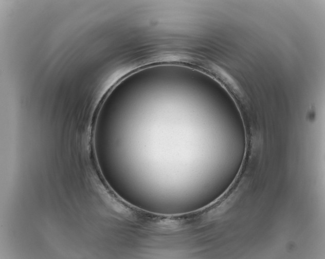 X0000093771178200710231306