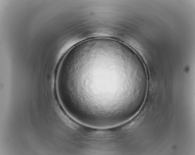 X0000093771179200710231306