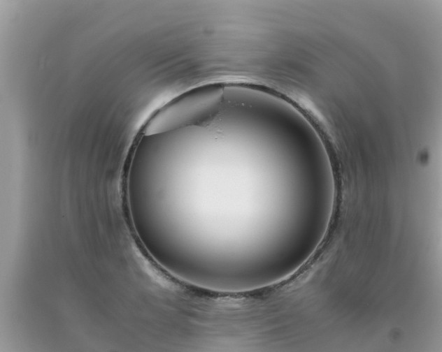 X0000093771181200710231306