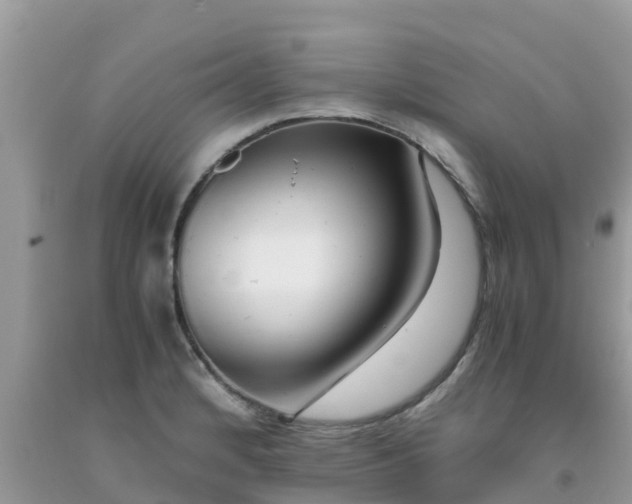 X0000093771184200710231306