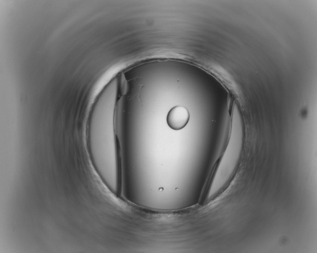 X0000093771188200710231306