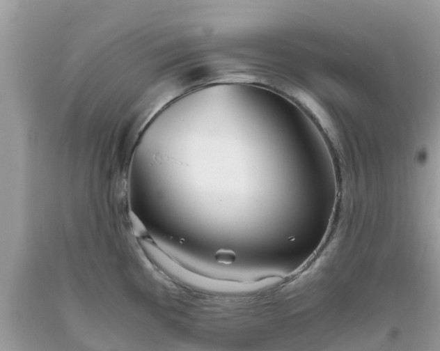 X0000093771193200710231306