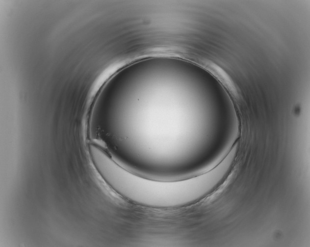 X0000093771196200710231306