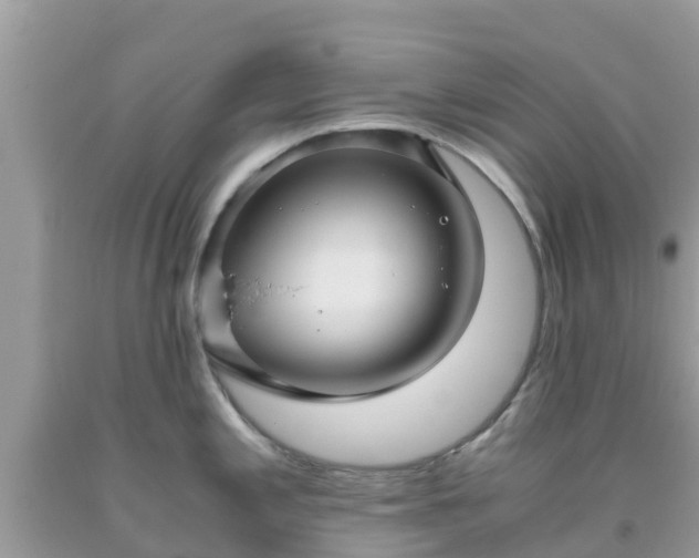 X0000093771197200710231306