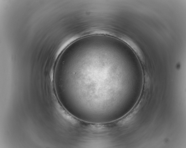 X0000093771198200710231306