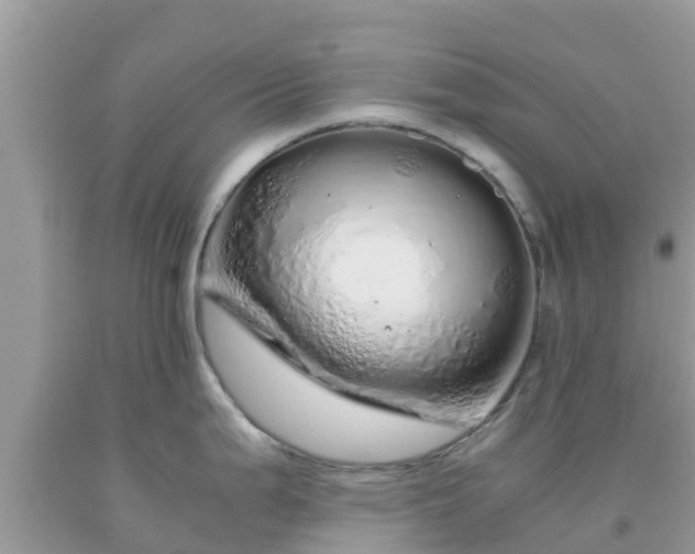 X0000093771199200710231306