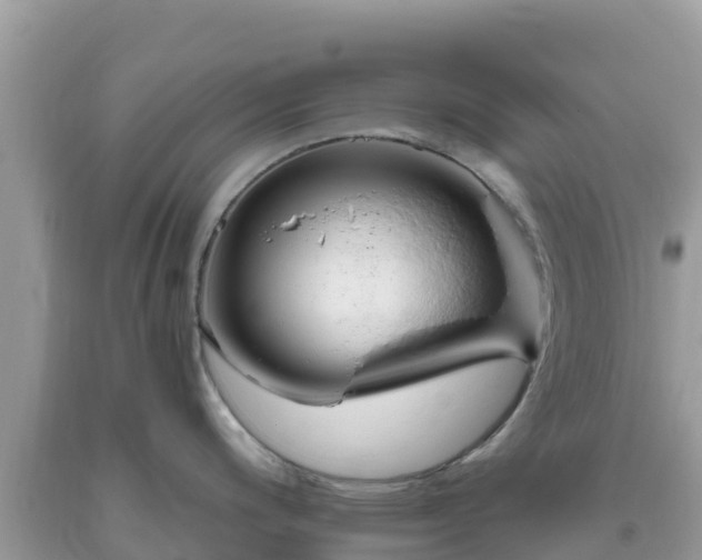 X0000093771200200710231306