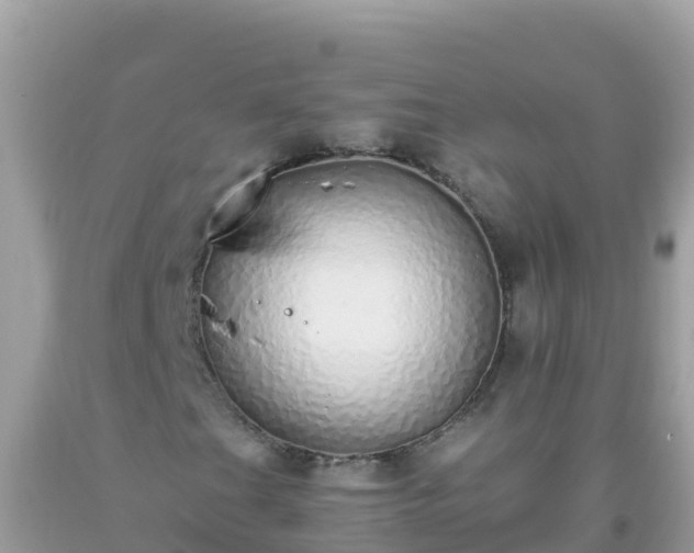 X0000093771201200710231305