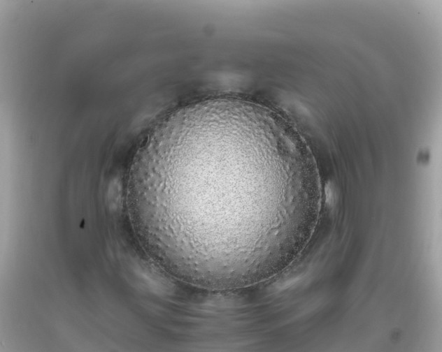 X0000093771203200710231305