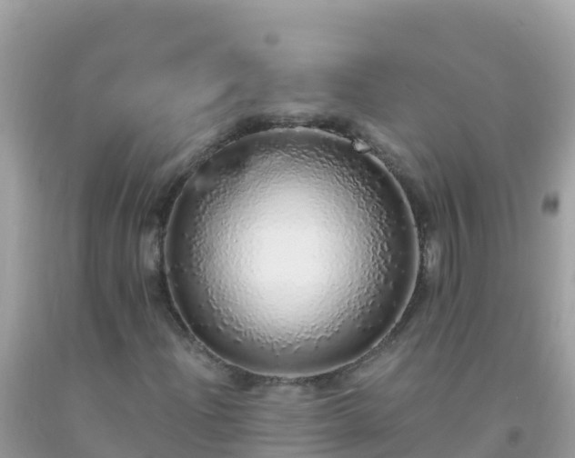 X0000093771204200710231305