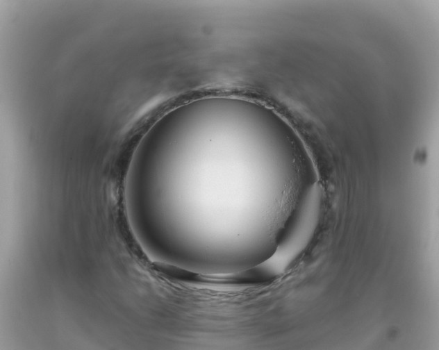 X0000093771206200710231305